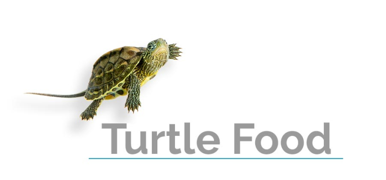 Turtle Food