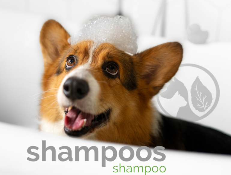 Shampoo para Perros